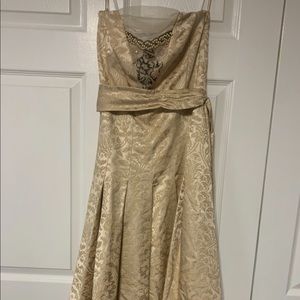Tibi vintage style champagne cocktail dress